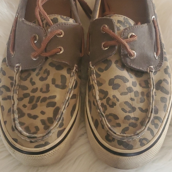 Sperry Topsider - Picture 2 of 6